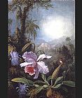 Orchids Passion Flowers and Hummingbird